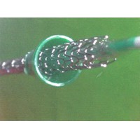 Stent Drug-eluting